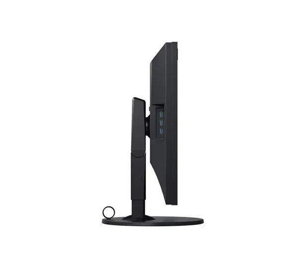 Монітор Eizo ColorEdge CG319X-BK 615487 фото