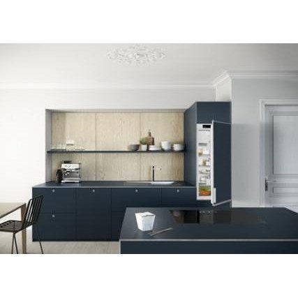 Холодильник з морозильною камерою Liebherr DRe 4101 041288 фото