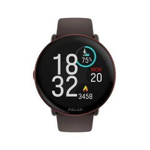 Смарт-часы Polar Ignite 3 Brown (900110028) 613219 фото