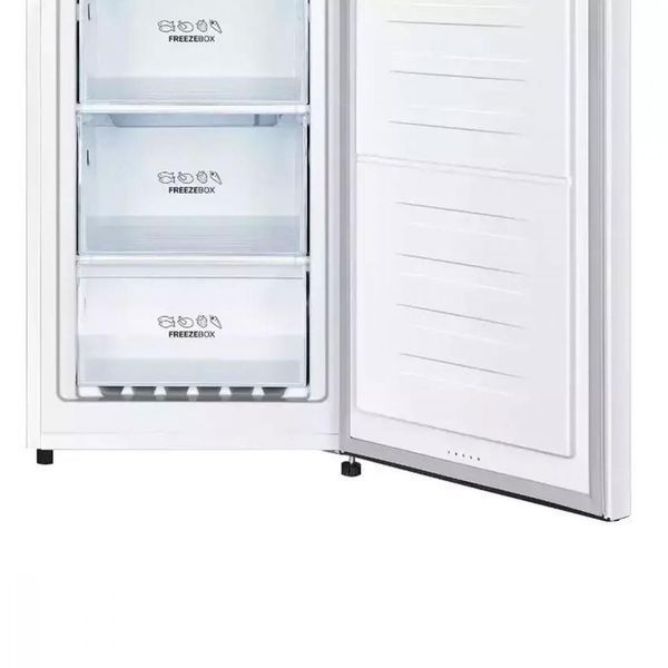 Морозильна камера Gorenje F4142PW 025200 фото
