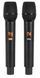 Power audio V-TONE Alpha BQ12 Karaoke 2089055 фото 9