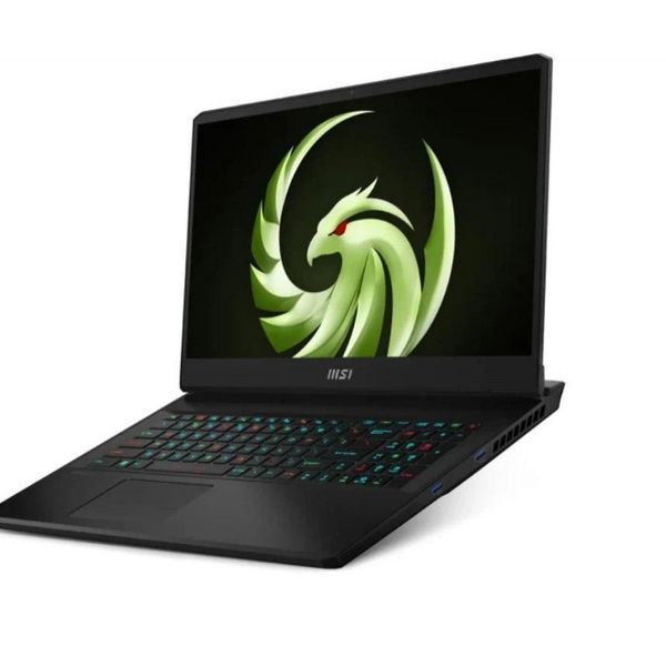 Ноутбук MSI Alpha 17 (C7VF-017XPL) 026908 фото