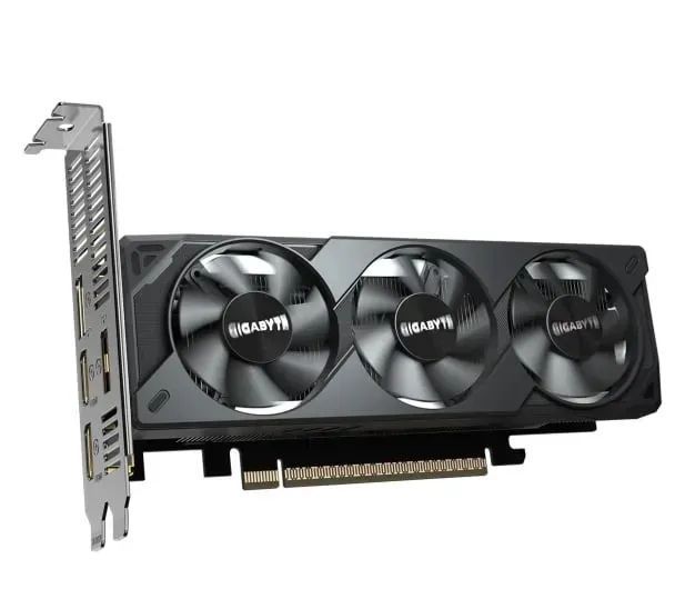 Відеокарта Gigabyte GeForce RTX 5050 OC Low Profile 8G (GV-N5050OC-8GL) 614982 фото