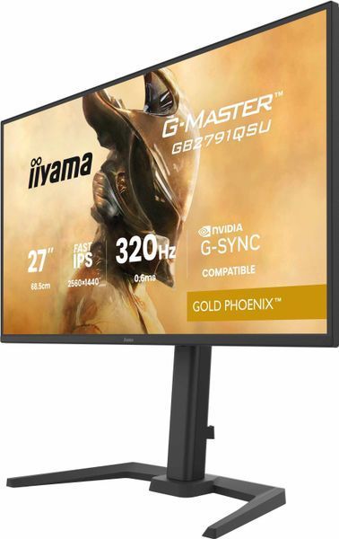 Монитор IIYAMA G-Master GB2791QSU-B1 27" 2560x1440 IPS 320 Гц 2123404 фото