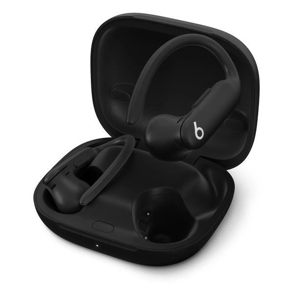 Наушники TWS Beats by Dr. Dre Powerbeats Pro 2 Jet Black (MX723) 572963 фото