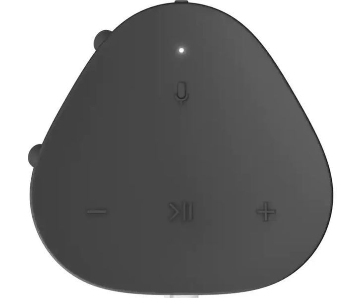Портативная колонка Sonos Roam Black (ROAM1R21BLK) 034090 фото