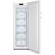 Морозильна камера Gorenje FN4171CW 025202 фото 2