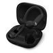 Наушники TWS Beats by Dr. Dre Powerbeats Pro 2 Jet Black (MX723) 572963 фото 3