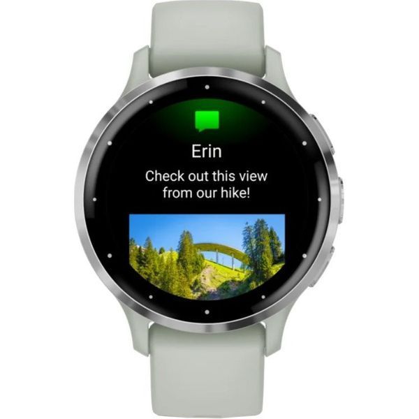 Смарт-часы Garmin Venu 3S Silver S. Steel Bezel w. Sage Gray Case and S. Band (010-02785-01) 035114 фото