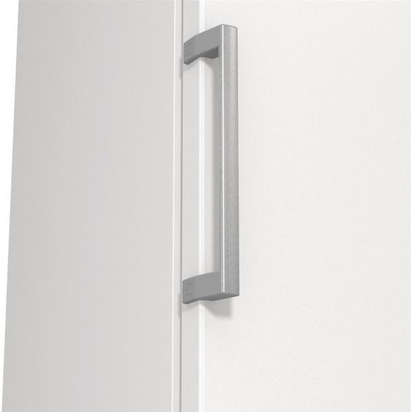 Морозильная камера Gorenje FN619FEW5 025203 фото