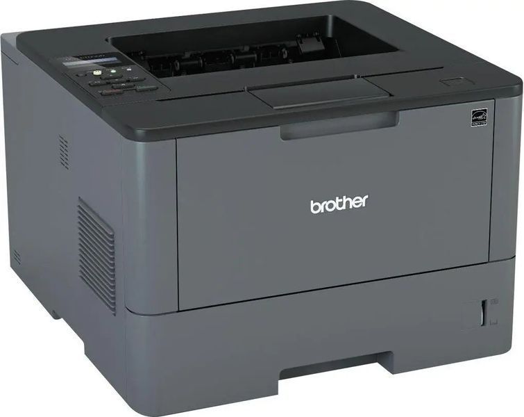 Принтер Brother HL-L5100DN (HLL5100DNYJ1) 037675 фото