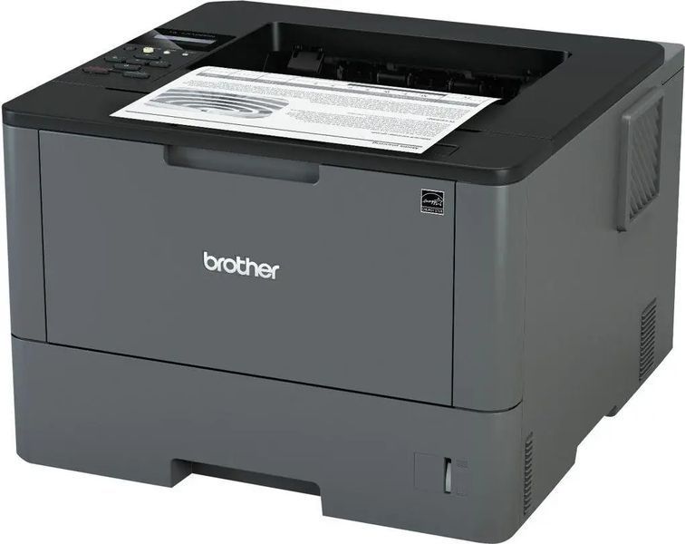 Принтер Brother HL-L5100DN (HLL5100DNYJ1) 037675 фото