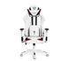 Комп'ютерне крісло для геймера Diablo Chairs X-Ray L white 018965 фото 1