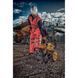 Минимойка высокого давления DeWALT DXPW 004 E 024796 фото 2