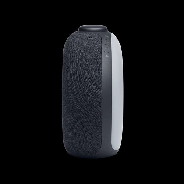Портативная колонка JBL Horizon 2 Black (JBLHORIZON2BLK) 034337 фото