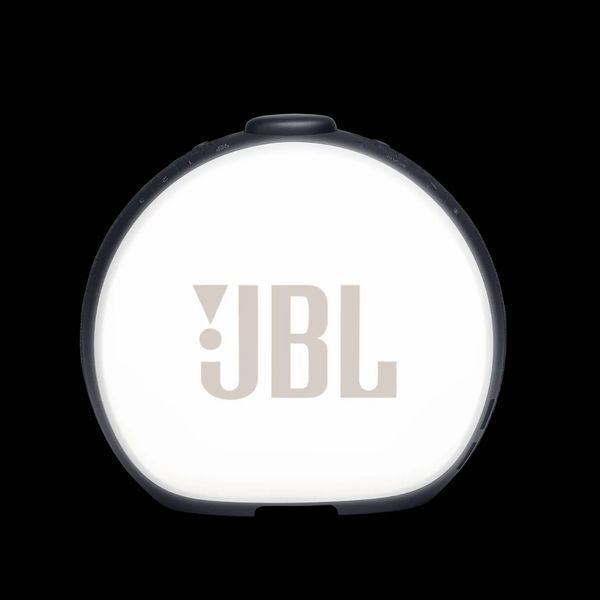 Портативная колонка JBL Horizon 2 Black (JBLHORIZON2BLK) 034337 фото