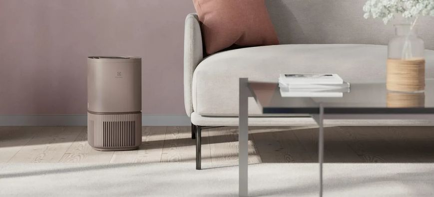 Очиститель воздуха Electrolux EPO50351BG 608749 фото