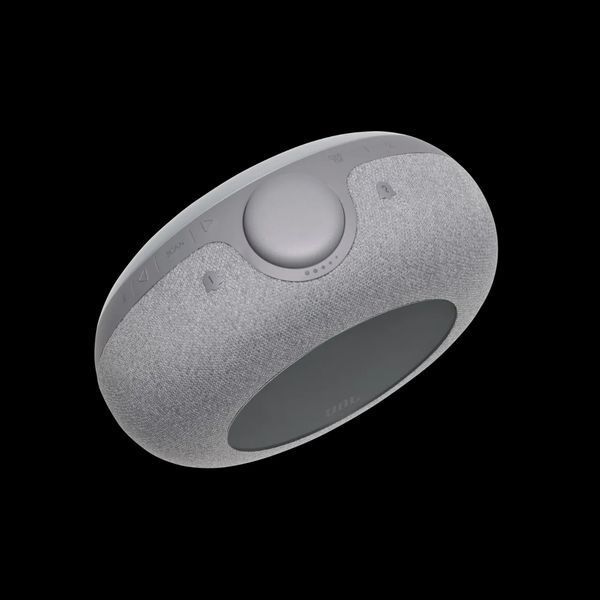 Портативна колонка JBL Horizon 2 Gray (JBLHORIZON2GRYEU) 034338 фото