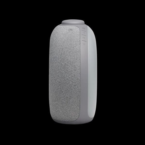 Портативна колонка JBL Horizon 2 Gray (JBLHORIZON2GRYEU) 034338 фото