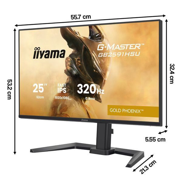 Монитор IIYAMA G-Master GB2591HSU-B1 24.5" 1920x1080 IPS 320 Гц 0.4 [MPRT] 2123403 фото
