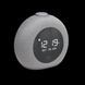 Портативна колонка JBL Horizon 2 Gray (JBLHORIZON2GRYEU) 034338 фото 2