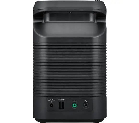 Моноблочна акустична система Sangean REverY R4 WFS-58 028441 фото