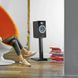 Акустические колонки Focal Theva N1 Black Lacquer 601734 фото 6