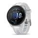 Смарт-часы Garmin Forerunner 165 Music Mist Gray/Whitestone (010-02863-31/B1) 614160 фото 1