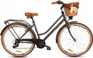 Велосипед міський Goetze Touring 7B 28 2023 Black 603455 фото