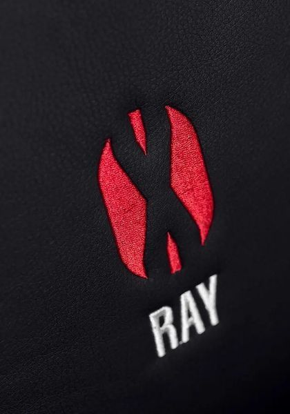 Комп'ютерне крісло для геймера Diablo Chairs X-Ray XL red 018969 фото