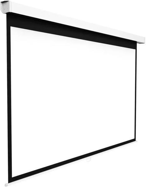 Проекционный экран Hisense PM100H 610061 фото