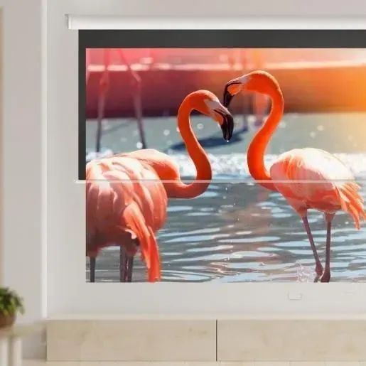 Проекционный экран Hisense PM100H 610061 фото