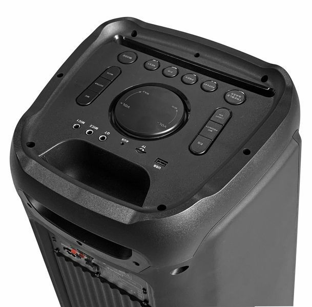 Power Audio BLAUPUNKT PB10DB, 80 Вт, Bluetooth, батарея 23 години, два мікрофони в комплекті, вхід USB, тюнер FM 450128 фото
