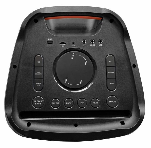 Power Audio BLAUPUNKT PB10DB, 80 Вт, Bluetooth, батарея 23 години, два мікрофони в комплекті, вхід USB, тюнер FM 450128 фото