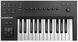 Контрольная клавиатура NATIVE INSTRUMENTS Komplete kontrol A25 2002302 фото 2
