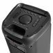 Power Audio BLAUPUNKT PB10DB, 80 Вт, Bluetooth, батарея 23 години, два мікрофони в комплекті, вхід USB, тюнер FM 450128 фото 8
