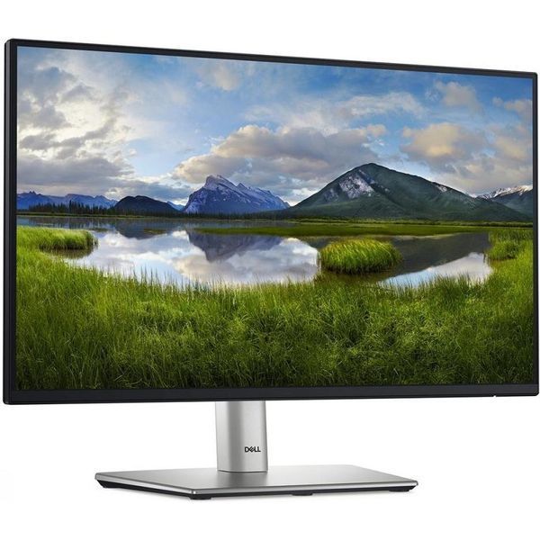 Монитор Dell P2225H (210-BMHD) 023256 фото