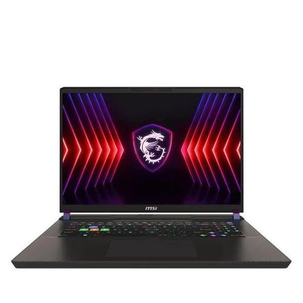 Ноутбук MSI Vector 17 HX A13VHG (A13VHG-834PL) 027560 фото