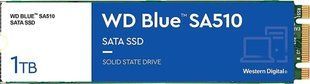 SSD накопитель WD Blue SA510 M.2 1 TB (WDS100T3B0B) 001067 фото