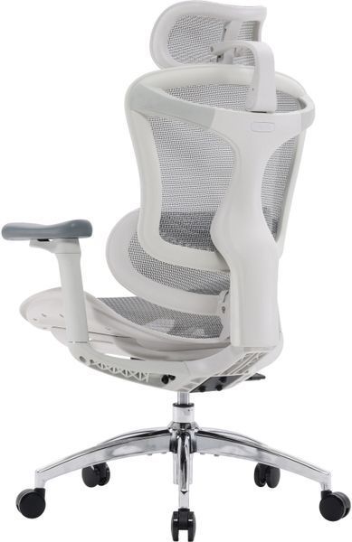 Игровое кресло SIHOO Doro C300L Белый 1298935 фото