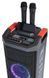 Портативна акустика AIWA KBTUS-608 Мікрофон Караоке 518424 фото 9