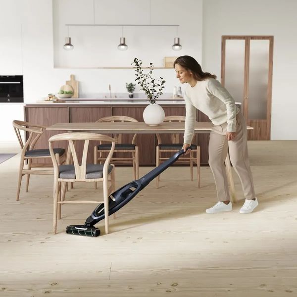 Вертикальний + ручний пилосос (2в1) Electrolux WQ71-P50IB 342408ua фото
