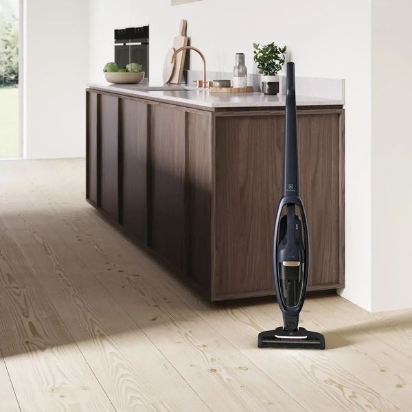 Вертикальний + ручний пилосос (2в1) Electrolux WQ71-P50IB 342408ua фото