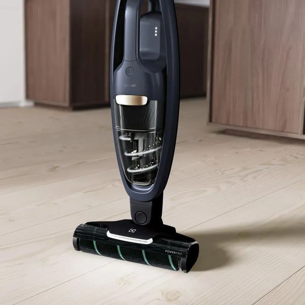 Вертикальний + ручний пилосос (2в1) Electrolux WQ71-P50IB 342408ua фото