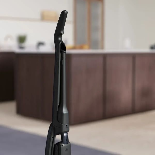 Вертикальний + ручний пилосос (2в1) Electrolux WQ71-P50IB 342408ua фото