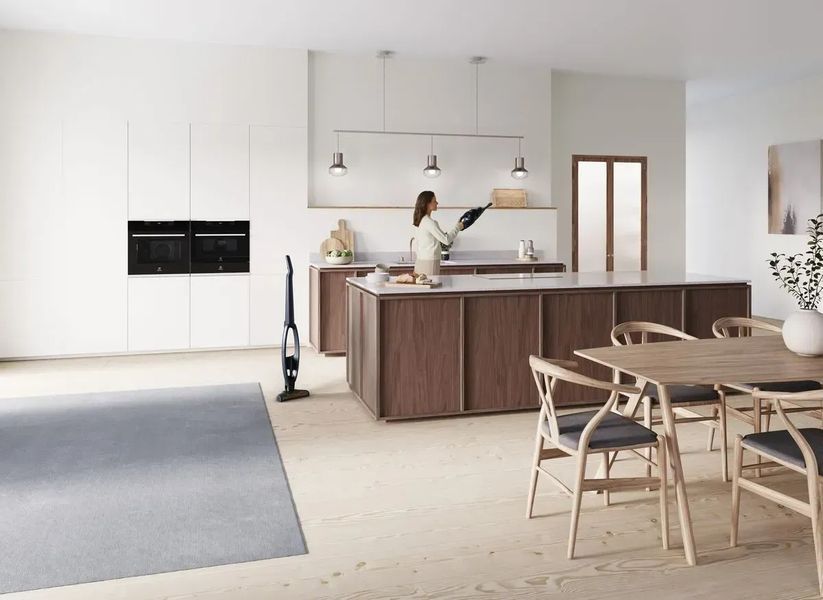 Вертикальний + ручний пилосос (2в1) Electrolux WQ71-P50IB 342408ua фото