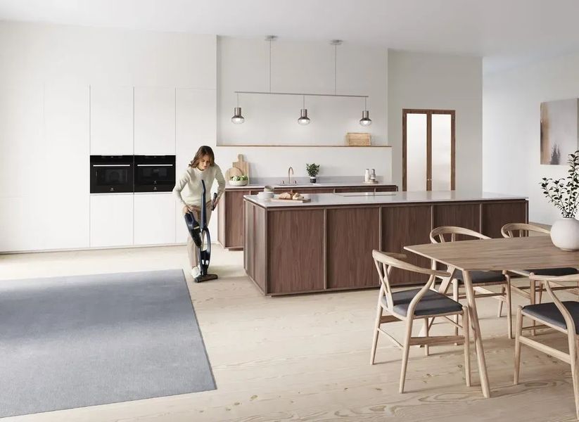 Вертикальний + ручний пилосос (2в1) Electrolux WQ71-P50IB 342408ua фото