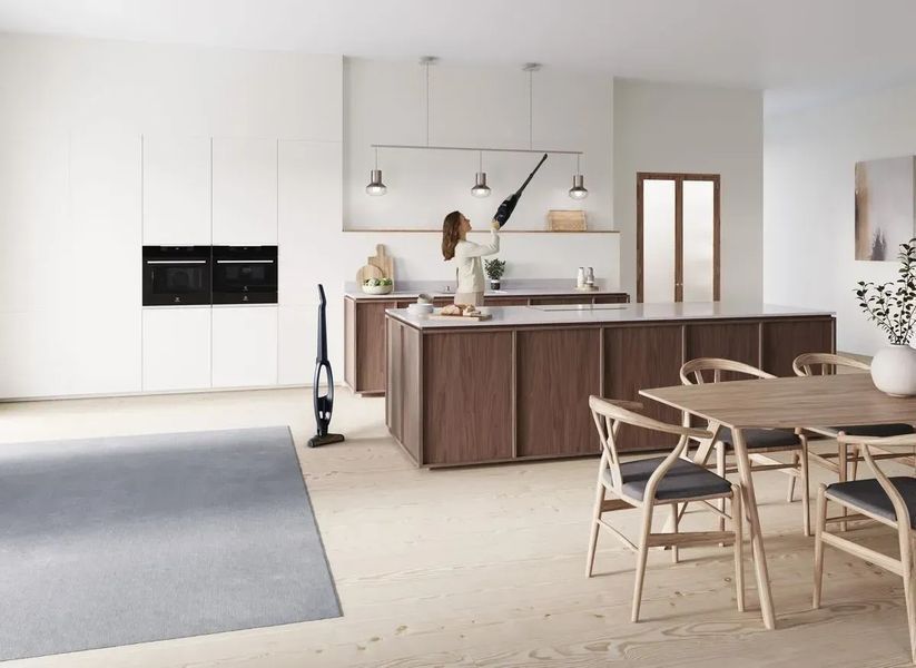 Вертикальний + ручний пилосос (2в1) Electrolux WQ71-P50IB 342408ua фото