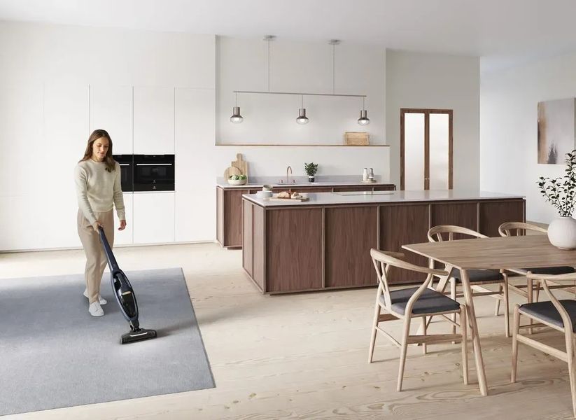 Вертикальний + ручний пилосос (2в1) Electrolux WQ71-P50IB 342408ua фото