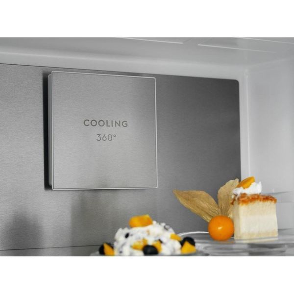 Холодильник з морозильною камерою Electrolux LNT7ME36G2 041099 фото